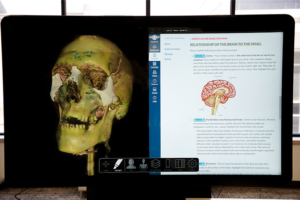 kansascom-web-integrated-science-center skull at the integrated science center